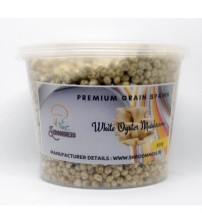 Thanvi Shroomness White Oyster Mushroom Spawn (Seeds) 350 grams